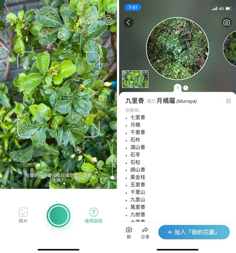 植物查詢|搜尋